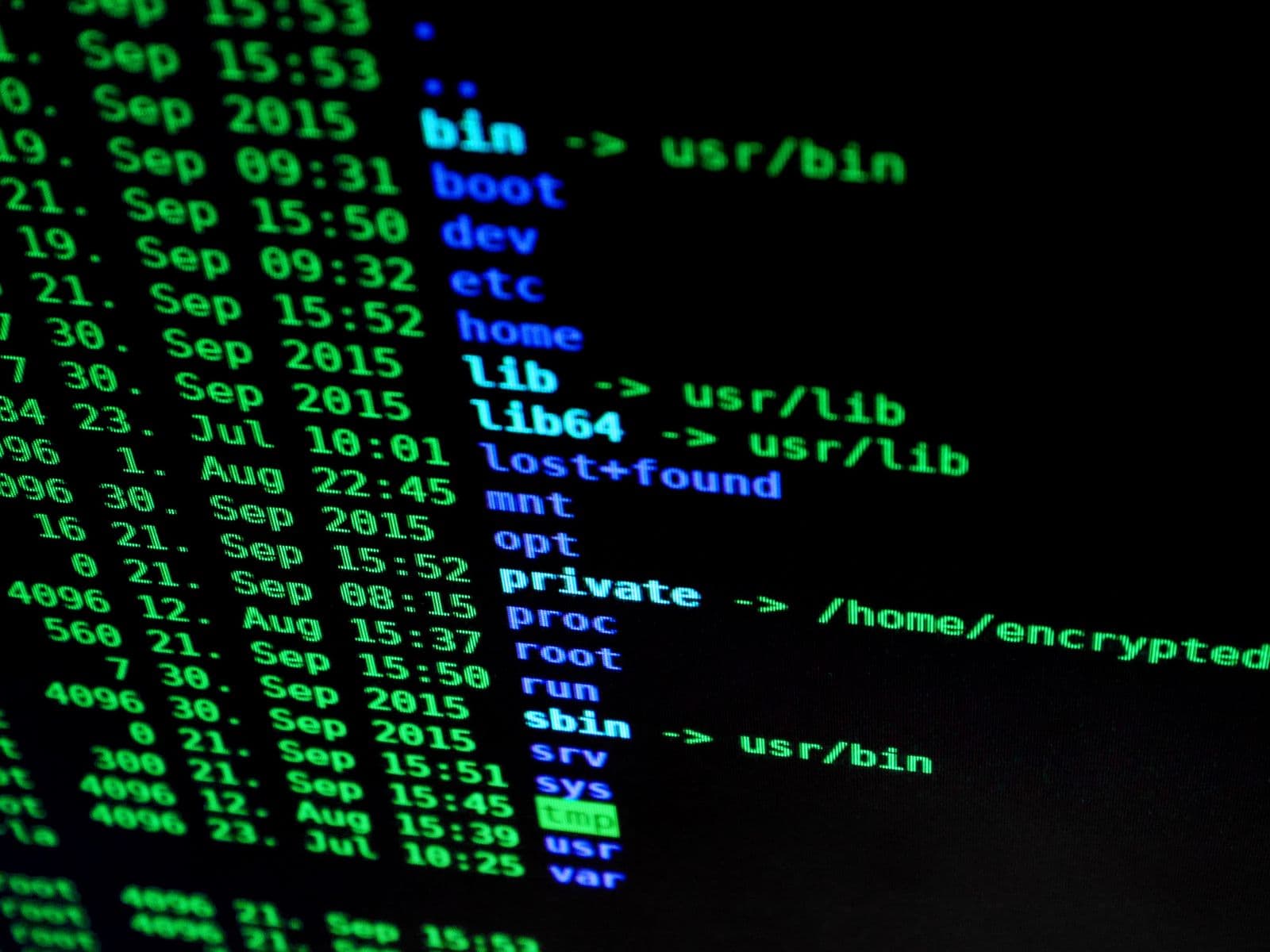 Penetration Testing
